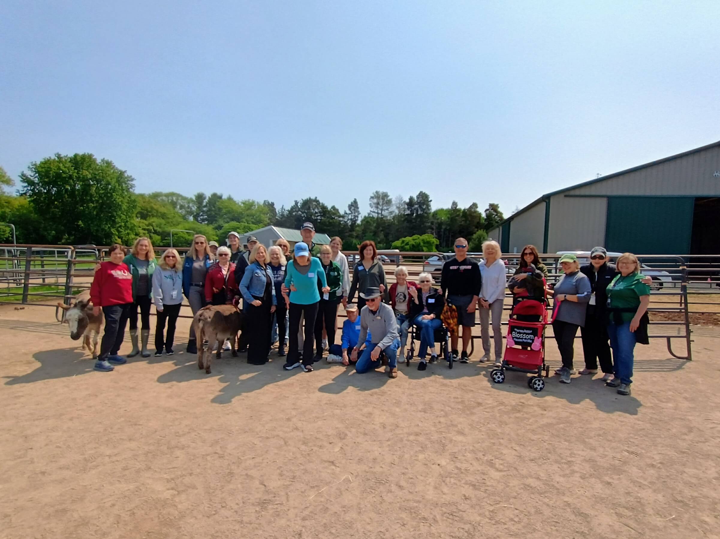 June+2025_20250612180138 Day Out Participants Visits Soul Harbour Ranch