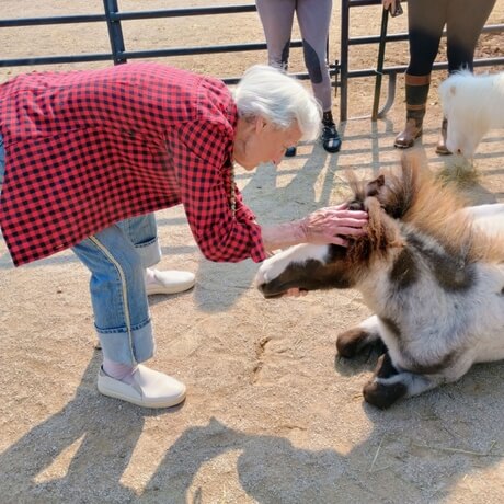 June+2025_202506121801383 Day Out Participant Visits Soul Harbour Ranch