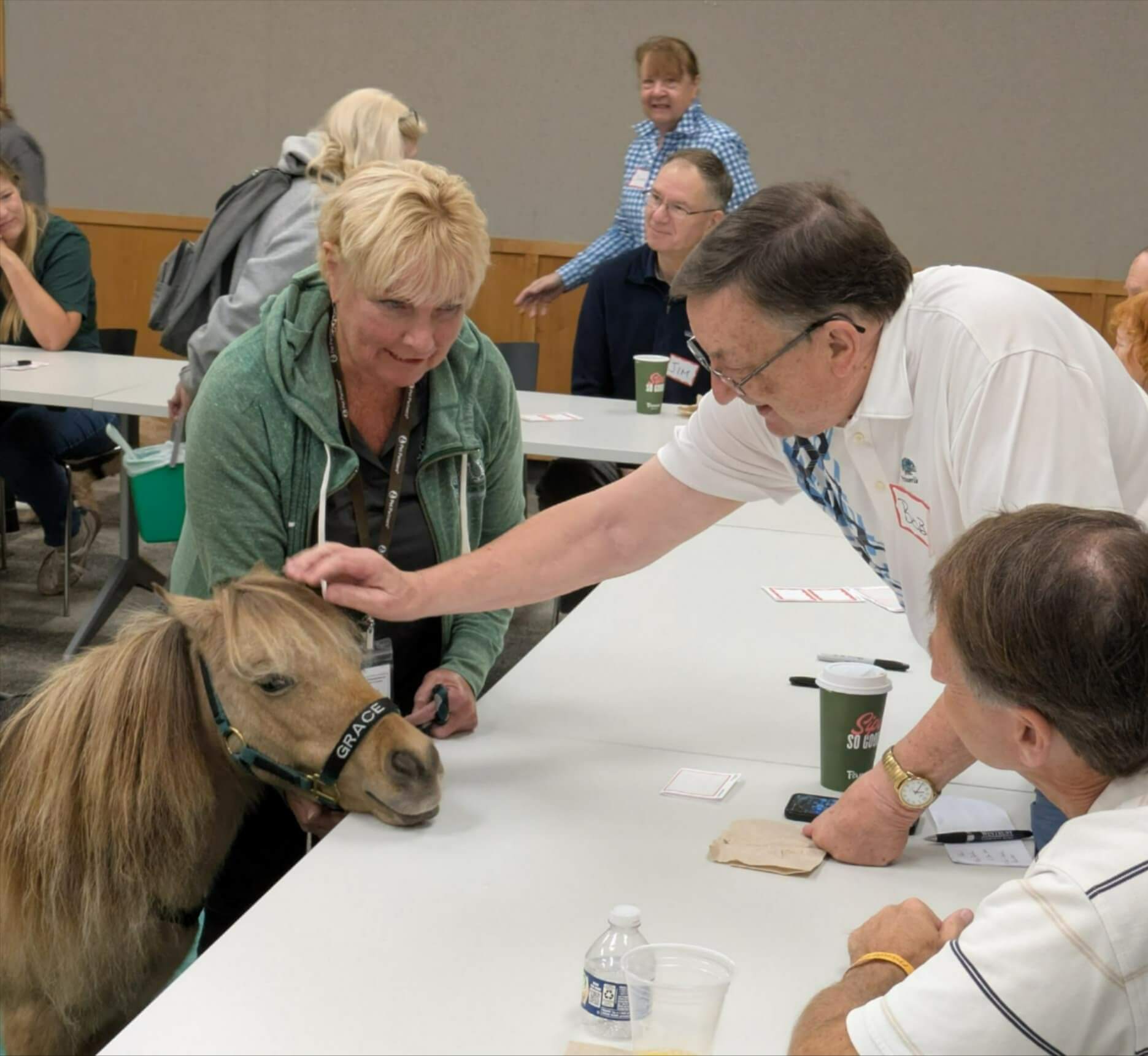 Pony visiting elder people